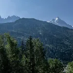 Appartement Coeur Des Alpes - A Spacious 3-bedroom With Spectacular Views